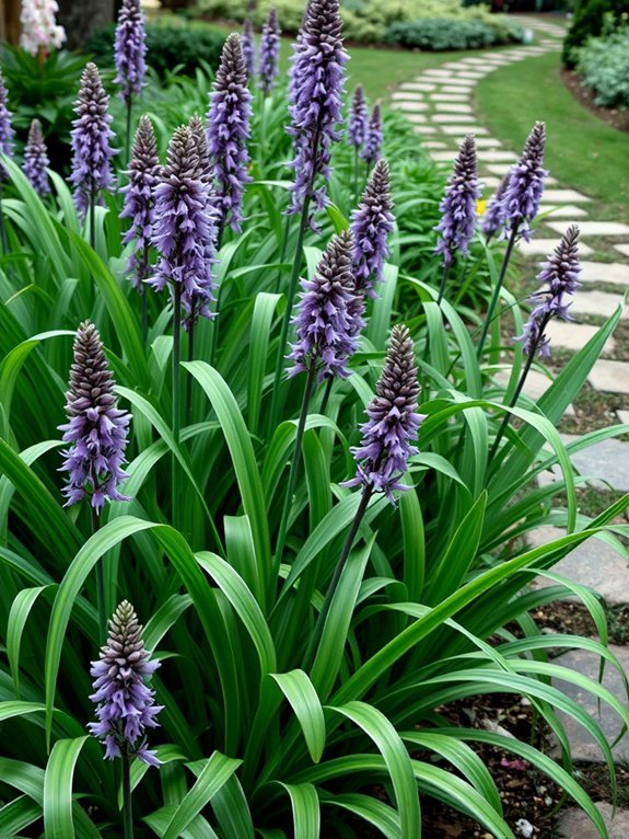 lush green ground cover